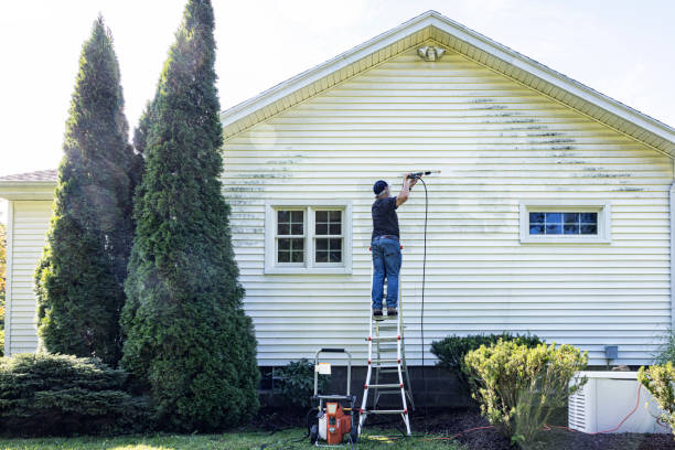 Best Dumpster Area Cleaning  in Vidor, TX